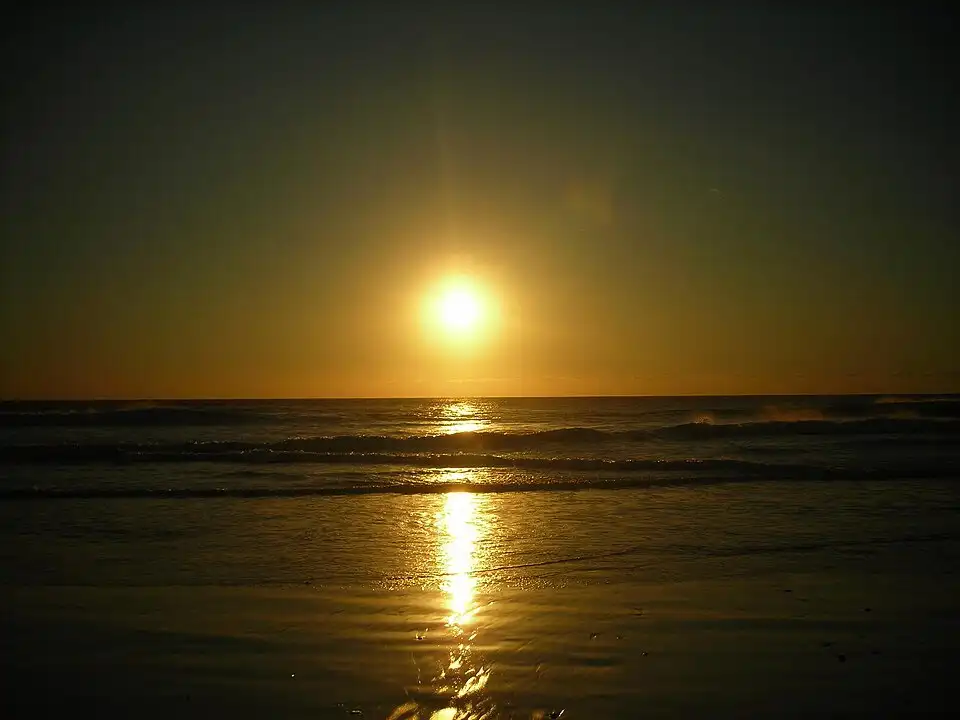 Playa de El Palmar